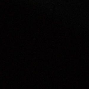 Meet your Posher, Mia